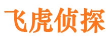 栖霞侦探